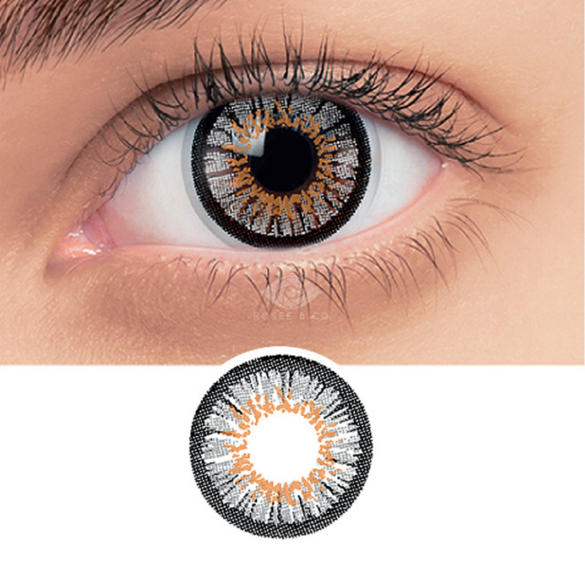 Colored Contact Lenses