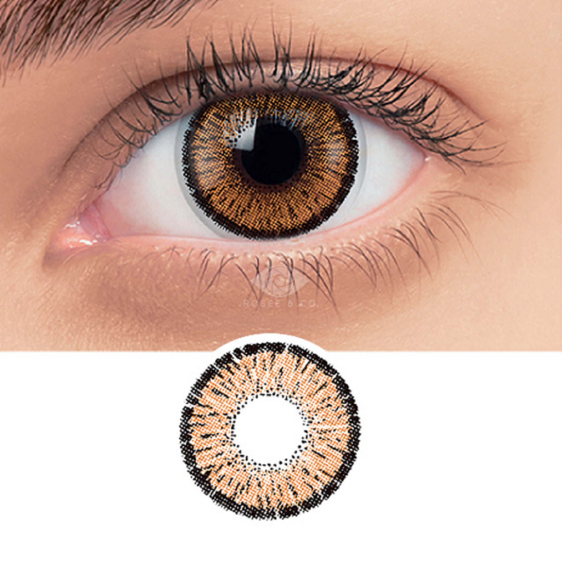 Colored Contact Lenses
